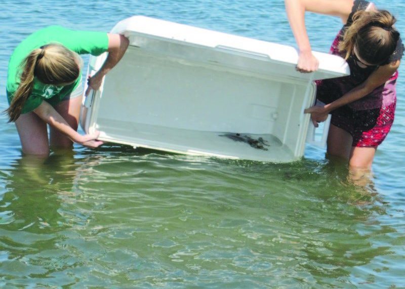Mission Bay hosts student-based fish-stocking program