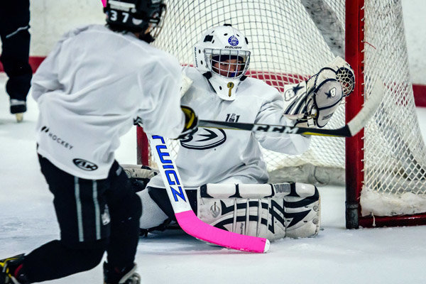 Education Notebook: Pacific Beach Elementary to perform musical 'Beauty Lou and the Country Beast'