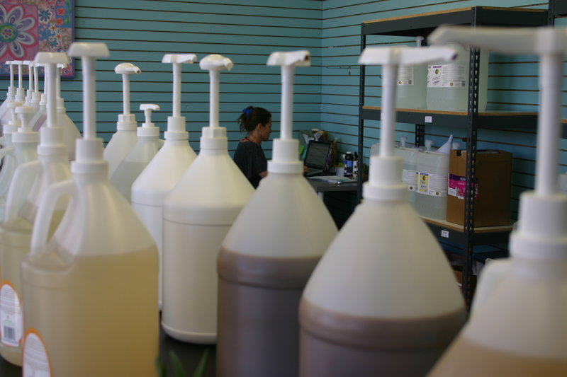 OB, Point Loma to join the world in feting Earth Day