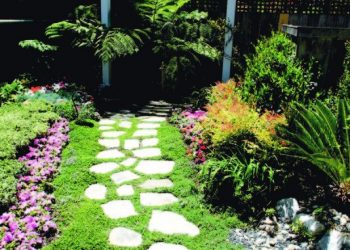 Reflections on the past: an artist’s perspective