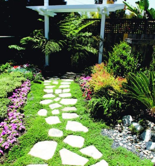 Spring is in the air!