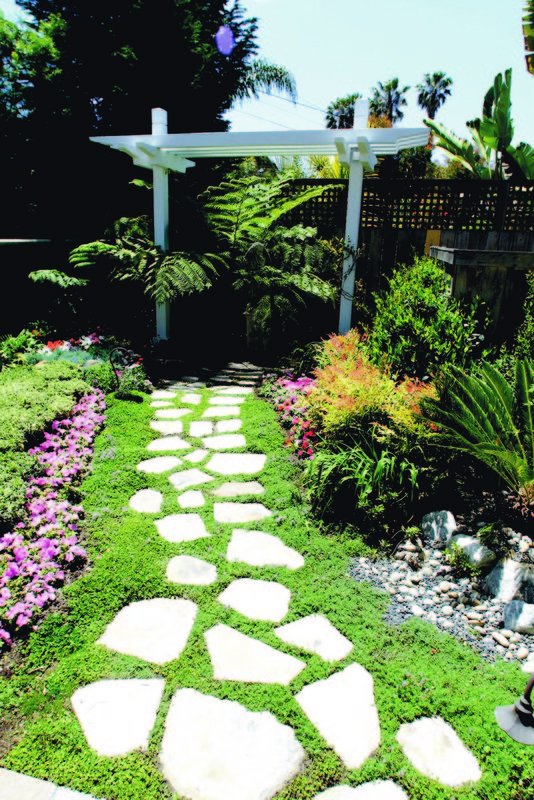 Spring is in the air!