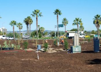 PLHS charter-school forum packs house