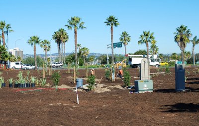 LABOR OF?LOVE: Long-anticipated median project finally bearing fruit