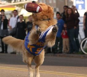 Fashionably yours: Red all over