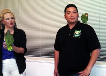 Quicker beach water-quality testing bill heads to governor; alerts expedited