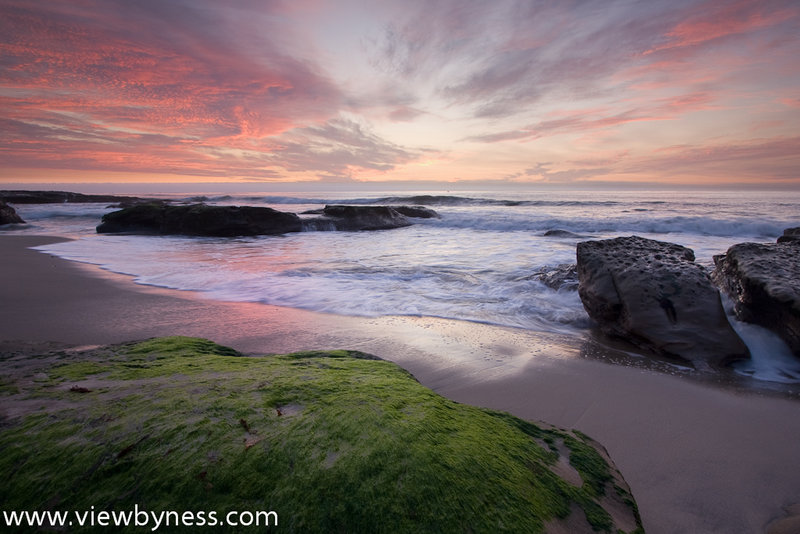 Peninsula-area events, May 4-19