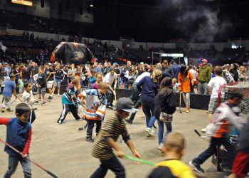 New ice age begins as Gulls come back to roost in San Diego