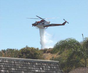 San Diego’s got the look to be ‘America’s Next Top Model’