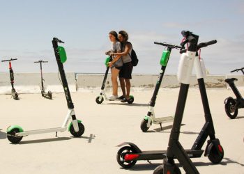 Rescued whales Ace, Ava, and Piper join Argo at San Diego marine park