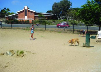 University of San Diego ranked 86th in U.S. News & World Report