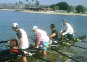 Tips for taking your dog to work