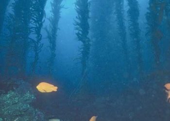 Spotlight on people: Trudie Richman’s great escape