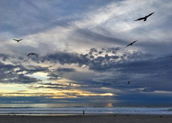 Point Loma wins Tournament of Champions in Minors Division