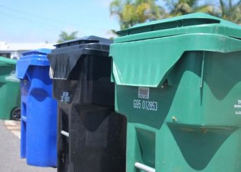 New kids on the block