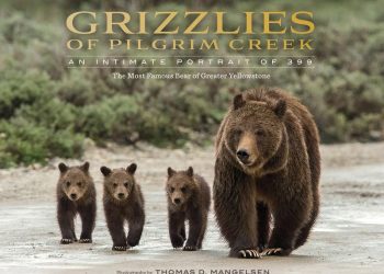 Gelson’s to buy former Haggen store in North Pacific Beach