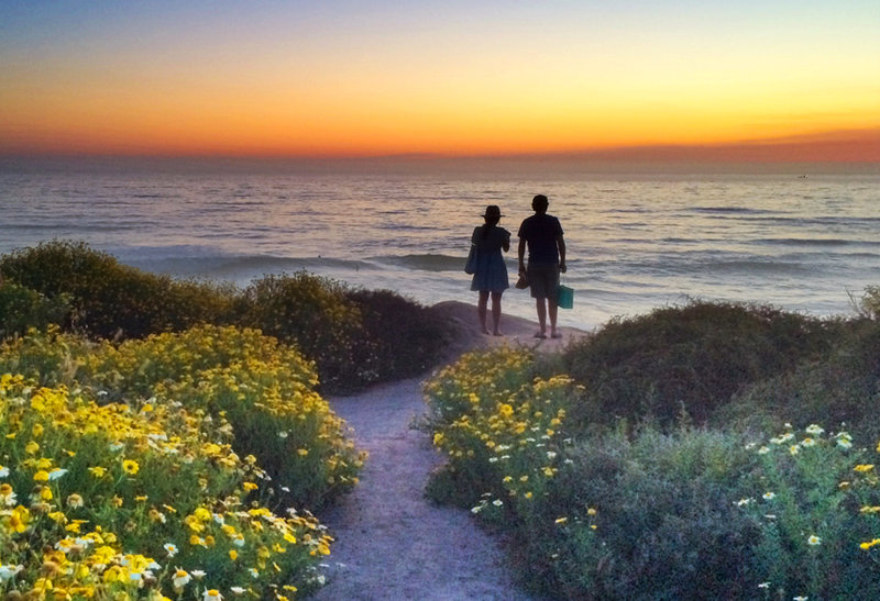 News and community briefs for Ocean Beach and Point Loma