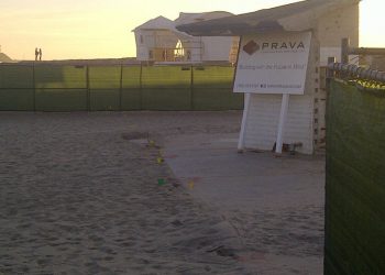 City: canine pollutants marring Dog Beach’s illustrious exterior