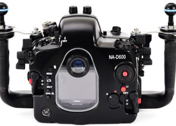 Pointers fired up after 2-game win streak pushes record to 3-1