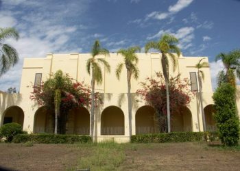 ‘Hungry Dog Dash’ set to lure runners of all skill sets