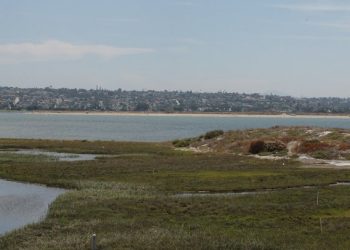 PB town hall meeting to spark ‘eco district’ discussion June 29