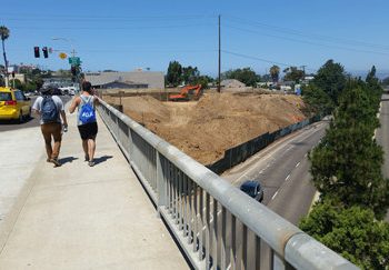 To tree or not to tree – that is the question