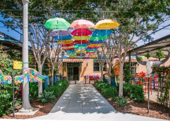 UC San Diego researchers convert pro-tumor macrophages into cancer killers