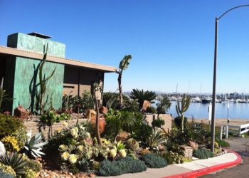 Blood drive for Point Loma Little Leaguer, 12, suffering from rare disorder