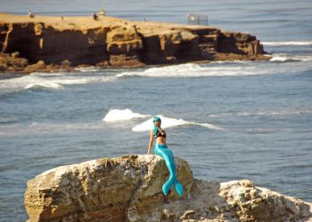 La Jolla credit card fraud ring busted