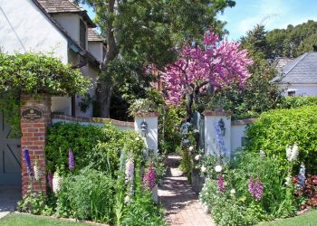 Glen Campbell documentary set at La Jolla's Arclight