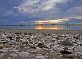 Bucs trio surfaces to help boys water polo