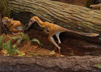 Families ready for Liberty Station’s Spring Fling