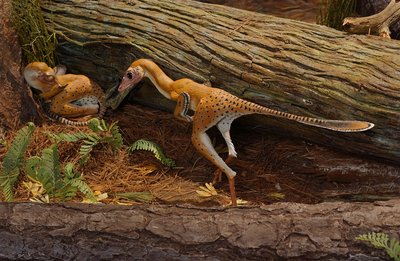 New dino exhibit brings ancient world back to life