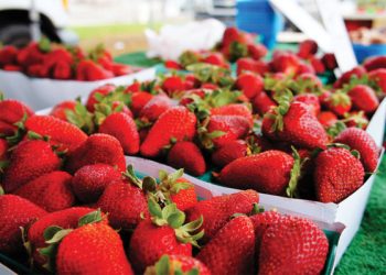 ‘Friends’ pour hearts, souls into watershed’s restoration