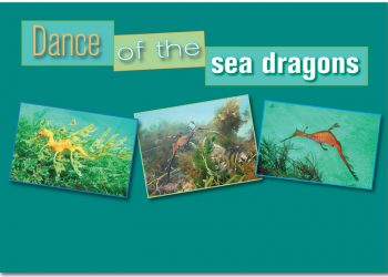 A tribute to the fallen