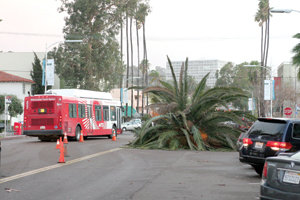 STORMY?WEATHER Fallen trees, flooding — and more to come