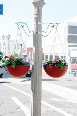 Committee focuses on boxes, baskets