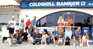 Vacation tips and facts for when you have to leave Fido at a boarding facility; what you should know.