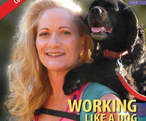 Vacation tips and facts for when you have to leave Fido at a boarding facility; what you should know.