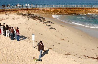 Children’s Pool policy stalls-out at meeting