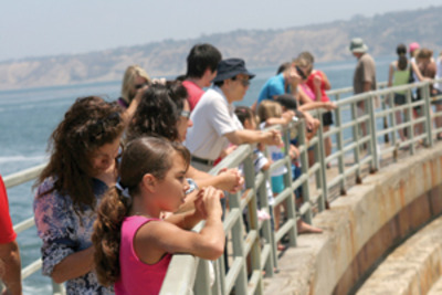 Students support seals via protests