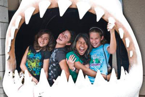 Cruising & musing: A real-time account of beach cruising bliss