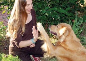 SDPD says goodbye to beloved horses of mounted unit