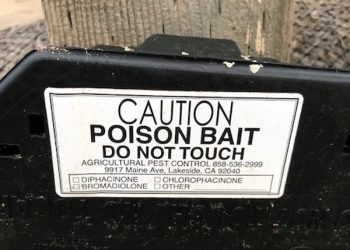 County offices to close for Cesar Chavez Day