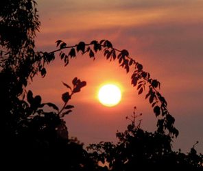 URBAN HIKE: SPRUCE STREET SUSPENSION IS ONE OF A KIND CROSSING