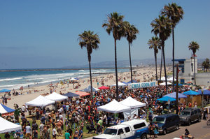 Dog owners fear losing cherished space