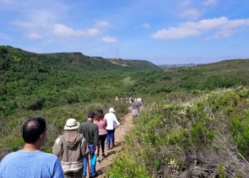 City Council announces new meeting to discuss Dog Beach’s 'ramp to nowhere'