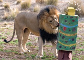 Urban Hike: Golden Hill's 32nd Street Canyon Wasn't Always So Nice