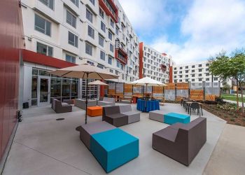 Whale watching surfaces early at Birch Aquarium