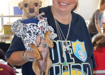 Suds, sand and summer fun at annual Over-the-Line Tournament